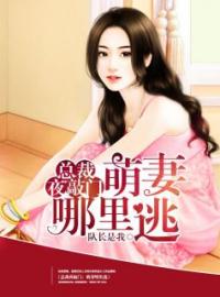总裁夜敲门：萌妻哪里逃完整版全文阅读 白童惜孟沛远小说 大结局