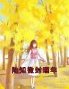陆知微封瑾年