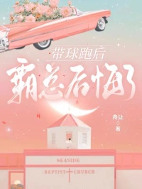 带球跑后，霸总后悔了顾琳琳贺景然小说精彩章节在线阅读