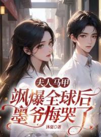 《夫人马甲飒爆全球后，墨爷悔哭了》时茉墨南城小说精彩章节在线阅读