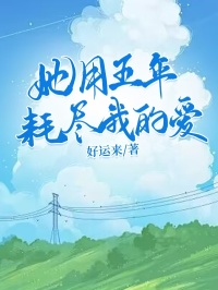 她用五年耗尽我的爱沈淮川柳如烟小说完整篇在线阅读