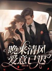 晚来清风，爱意已迟全本资源 陆意晚厉景驰完整未删减版