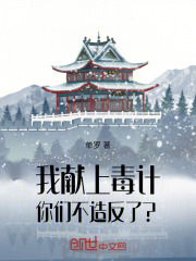 《我献上毒计，你们不造反了？》小说完整版在线阅读（主角陆远修杨桂芸）