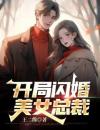 开局闪婚美女总裁