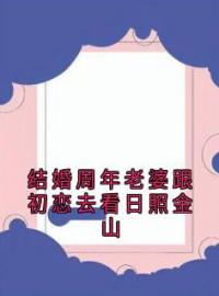 结婚周年老婆跟初恋去看日照金山完整全文阅读 杨子琪陆子洲小说结局无删节