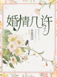 婚情几许免费试读(沈棠陆骁小说全本资源) 无广告