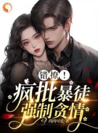 错撩！疯批暴徒强制贪情完整版 温宁祁妄全章节阅读