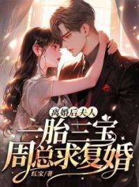 《离婚后，夫人一胎三宝周总求复婚》程知微周霖小说全本在线阅读