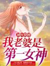 神医赘婿：我老婆是第一女神