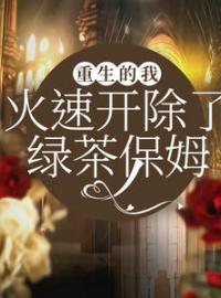 重生的我，火速开除了绿茶保姆羡羡秦浩韩悠悠小说全文免费试读