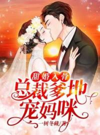 夏燃盛熠城小说阅读_夏燃盛熠城小说《甜婚入骨：总裁爹地宠妈咪》