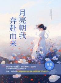 陈雪初陆鹤城小说《月亮朝我奔赴而来》全文及大结局精彩试读