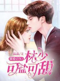 《谋爱已久：林少可盐可甜》谭洛洛季羽小说全本在线阅读