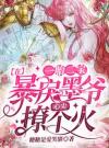 一胎二宝：在暴戾墨爷心尖撩个火