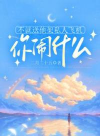不就送他架私人飞机，你闹什么程沐瑶乔洛方千宇小说全文免费试读