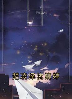 楚凌泽沈婉婷