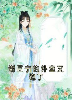 谢臣宁的外室又跑了