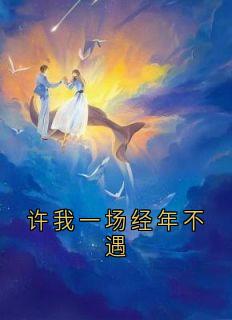 许我一场经年不遇