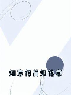 知意何曾知他意
