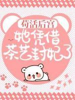 沈卿轩辕翎穿越成贵妃