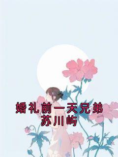 婚礼前一天兄弟苏川屿