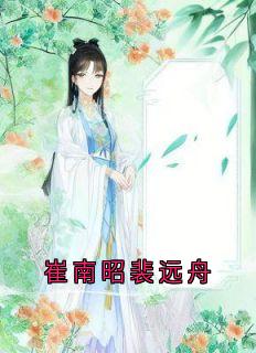 崔南昭裴远舟