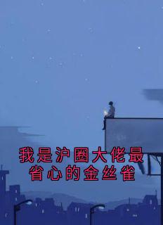 我是沪圈大佬最省心的金丝雀
