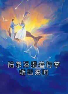 陆京泽提着行李箱出来时