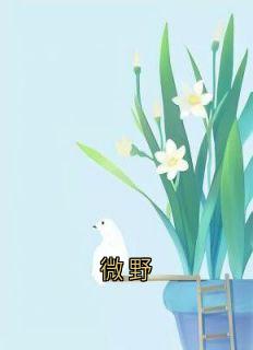 微野