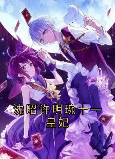 沈昭许明琬十一皇妃沈霄明玉许明琬小说精彩章节在线阅读