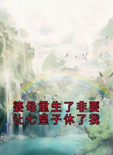 婆母重生了非要让七皇子休了我