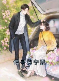 傅寻风宁夏
