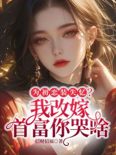 崔盛婉沈砚辞