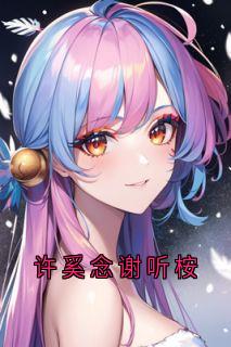 许奚念谢听桉