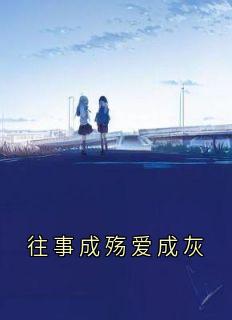 往事成殇爱成灰