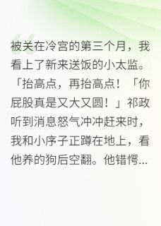 被关在冷宫的，我看上了小太监