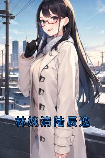 林婉清陆辰逸