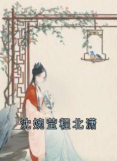 沈婉莹程北潇