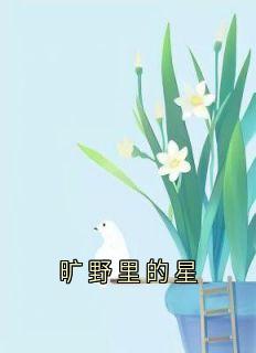 旷野里的星