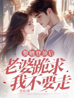 《赘婿登顶后，老婆跪求我不要走》徐生沈思婉清小说精彩章节在线阅读