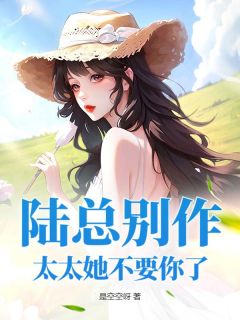陆总别作，太太她不要你了时念陆衍止全本大结局阅读