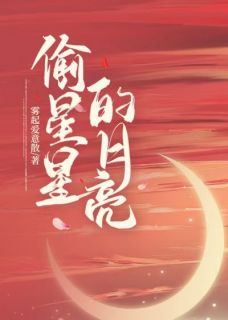 偷星星的月亮黎岁冉顾喻成小说全部章节目录