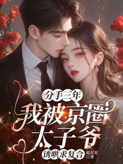 《分手三年，我被京圈太子爷诱哄求复合》孟姿苑许莫舟小说精彩章节在线阅读