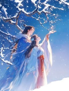沈裕安萧宁月小说大结局在线阅读 夫君多出个私生子后，我留下和离书离开他小说免费试读