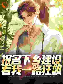 权力巅峰：从基层公务员一路狂飙免费试读 季卫东钟灵儿的小说在线阅读