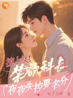 督查公司，你偷我的心干嘛全章节免费在线阅读 黎小满顾彦深小说完结版