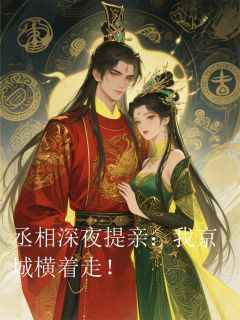 丞相大人深夜提亲，我京城横着走沈清辞顾九宸小说完整篇在线阅读