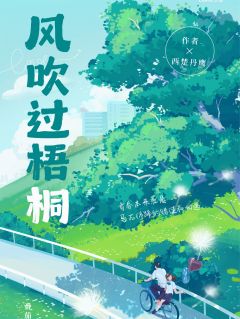 风吹过梧桐张丹鹰黄春免费在线全文阅读