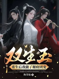 前世，她是谢府卑微丫鬟by阿萤谢云湛完整版 阿萤谢云湛小说全集在线阅读