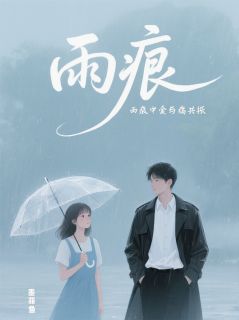 雨痕：听雨和你心跳的分贝小说完整版在线阅读（主角沈砚林晚）
